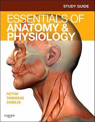 Study Guide for Essentials of Anatomy  Physiology