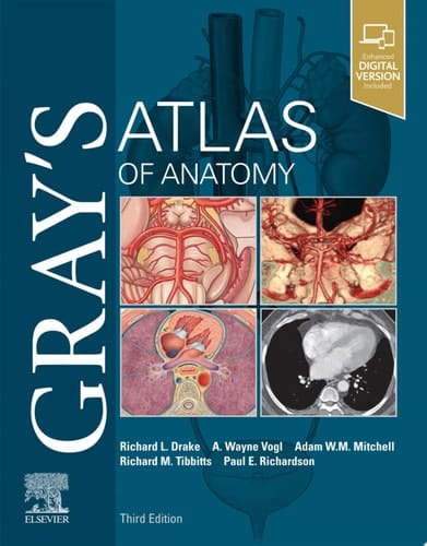 Gray's Atlas of Anatomy E-Book Gray's Atlas of Anatomy E-Book