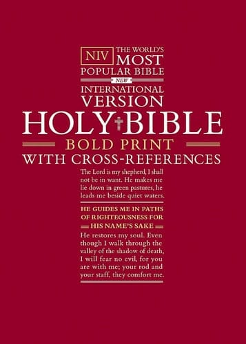 Niv Bible