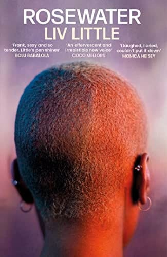 Rosewater The Debut Novel from Liv Little
