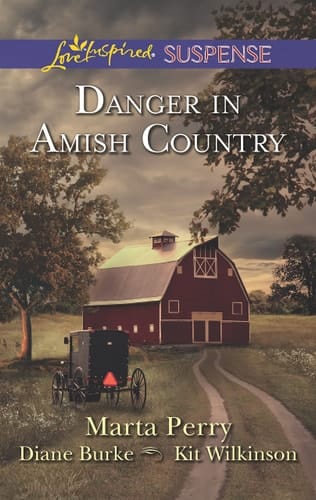 Danger in Amish Country Fall from Grace\Dangerous Homecoming\Return to Willow Trace