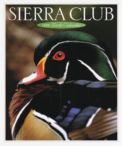 Sierra Club Birds Calendar 1999