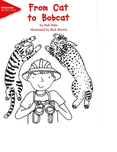 From Cat to Bobcat