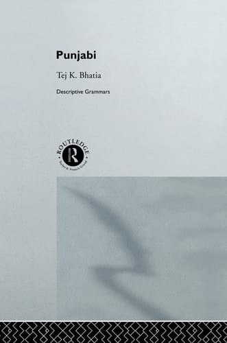Punjabi A Conginitive-descriptive Grammar