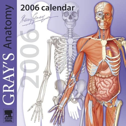 Anatomy 2006