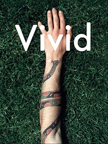 Vivid The Paul Hartigan Story