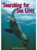 Searching for Sea Lions