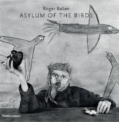 The Asylum of the Birds