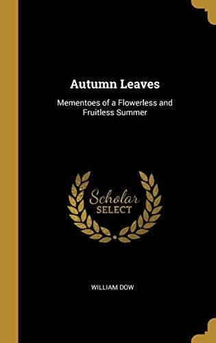 Autumn Leaves Mementoes of a Flowerless and Fruitless Summer