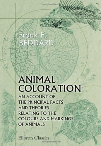 ANIMAL COLORATION