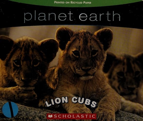 Lion Cubs