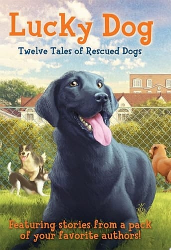 Lucky Dog Twelve Tales of Rescued Dogs