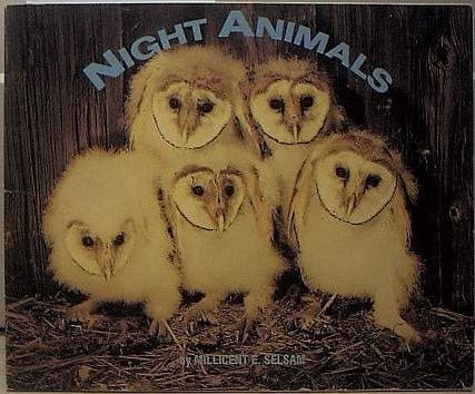 Night Animals