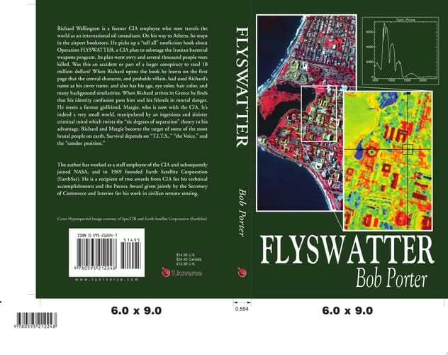 Flyswatter