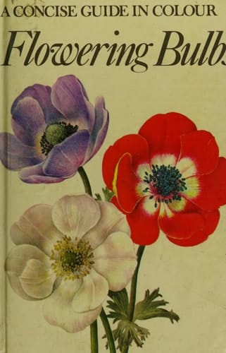 Flowering Bulbs