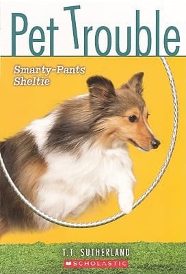 Smarty-Pants Sheltie