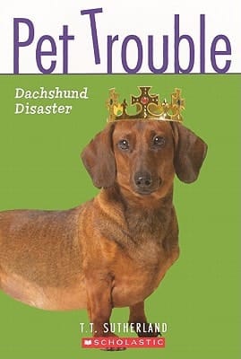Dachshund Disaster