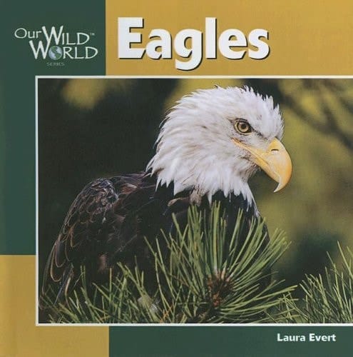 Eagles