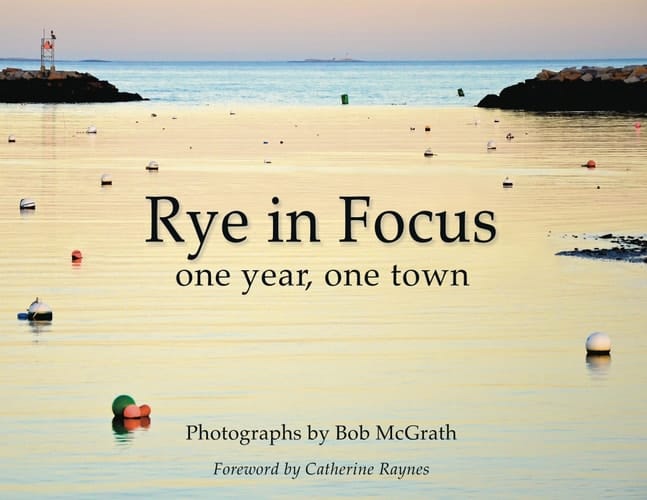 Rye in Focus One Year, One Town