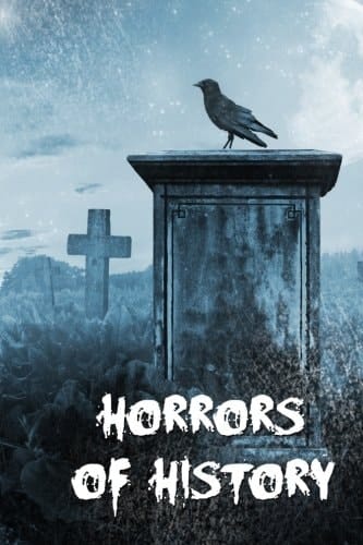 Horrors of History An Anthology from Fey Publishing