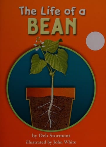 The Life of a Bean