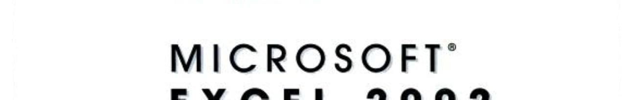 New Perspectives on Microsoft Excel 2002 Introductory- Bonus Edition