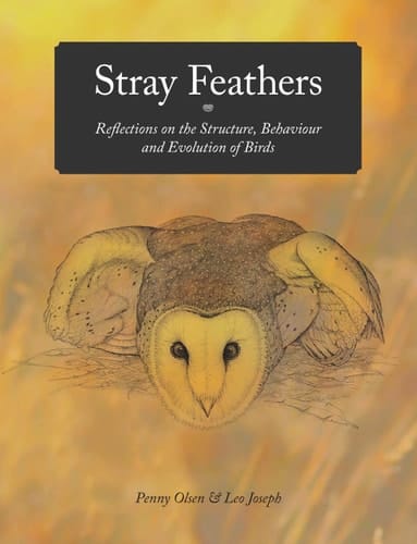 Stray Feathers Reflections on the Structure, Behaviour and Evolution of Birds