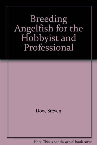 Breeding Angelfish