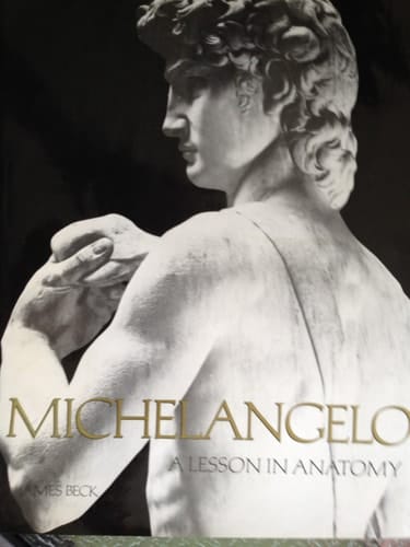 Michelangelo: A Lesson in Anatomy (A Studio book)