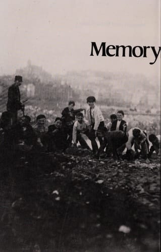 Memory and Enthusiasm: Essays, 1975-1985