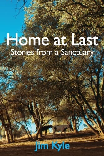 Home at Last Stories from a Sanctuary