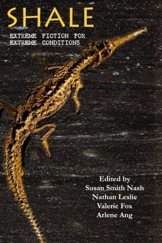 Shale Extreme Fiction for Extreme Conditions