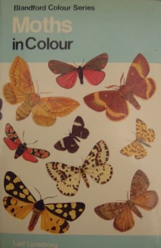 Moths in colour