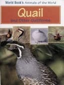Quail and Other Galliforms