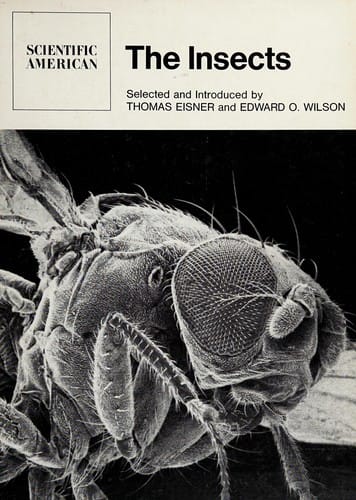 The Insects: Readings from Scientific American