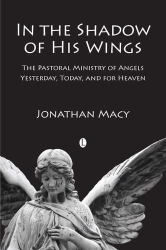 In the Shadow of His Wings The Pastoral Ministry of Angels, Yesterday, Today, and for Heaven