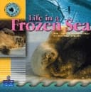Life in a Frozen Sea