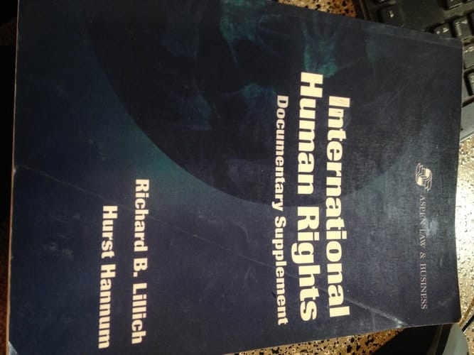 International Human Rights 1995