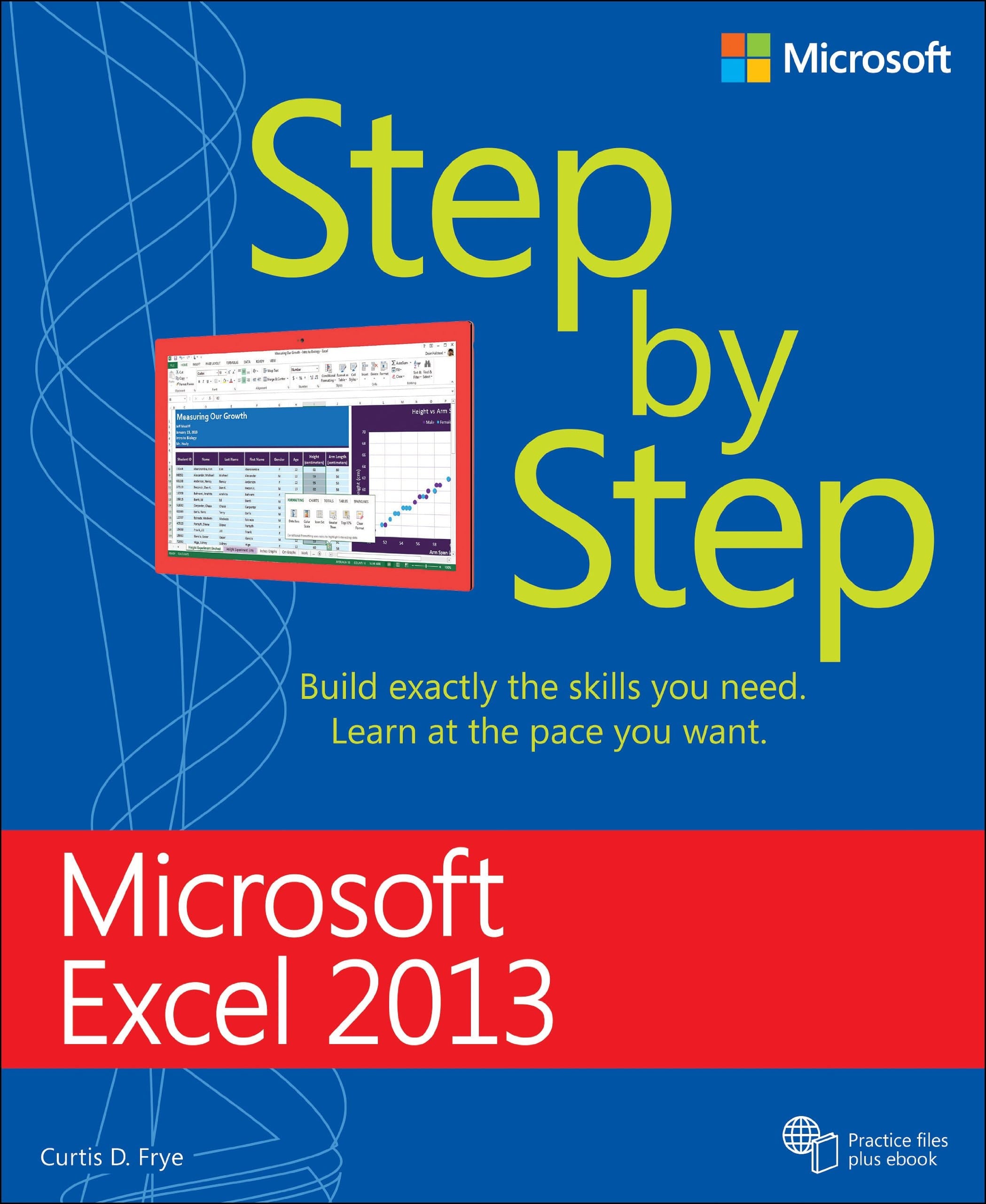 Microsoft Excel 2013