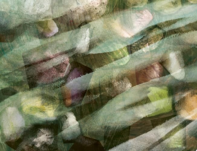Let's Build a Dam!