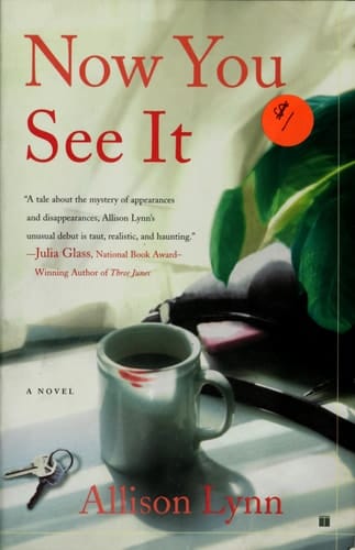 Now You See It: A Novel