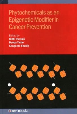 Phytochemicals As an Epigenetic Modifier in Cancer Prevention