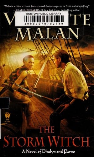 The Storm Witch A Novel Of Dhulyn And Parno