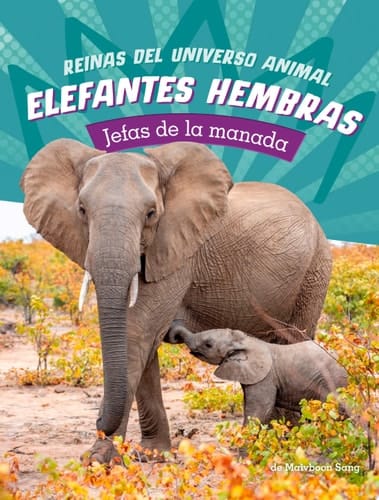 Elefantes Hembras Jefas de la Manada