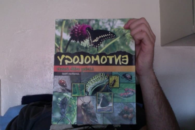 Entomology Living with Insects