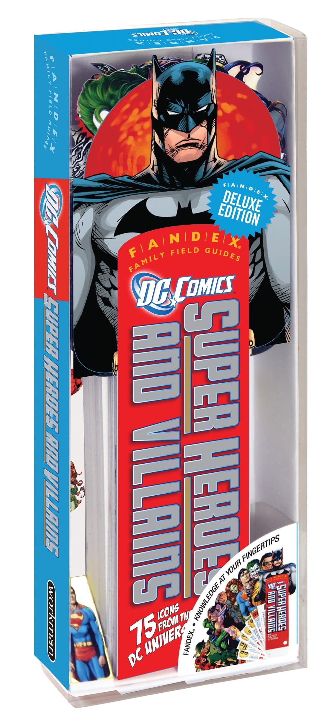 DC Comics Super Heroes and Villains 75 Icons from the DC Universe!