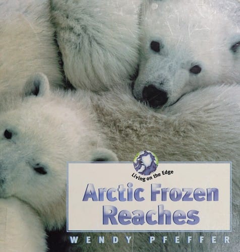 Arctic frozen reaches