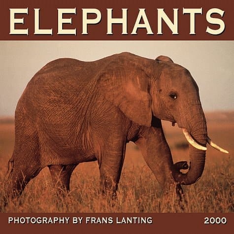 Elephants 2000 Calendar