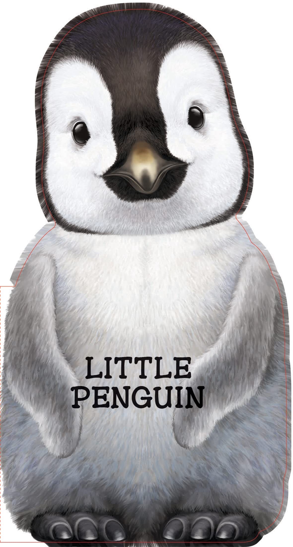 Little Penguin