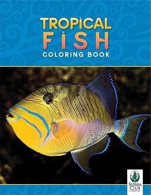 Tropical Fish